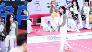 【良陈美婧】20231111 偶像运动会跳高（双机位focus）