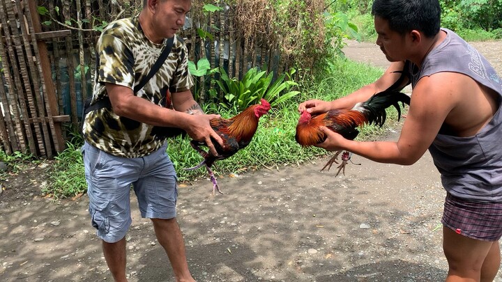 2x winner bulag kaso na unong