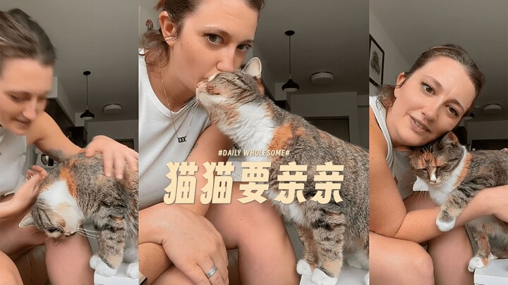 Kucing ini ada yang aneh, bawa ke sini biar aku pelajari!