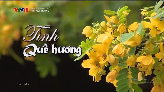 VTV10 - Dân Ca Nhạc Cổ: Tình quê hương (11/04/2026)