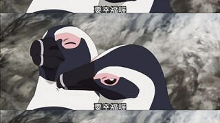 不知道的自由恋爱专家