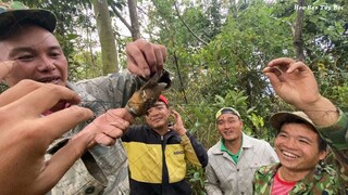 Lên đồi bẫy bắt chim sổng vào lại lồng | Hoa Ban Tây Bắc