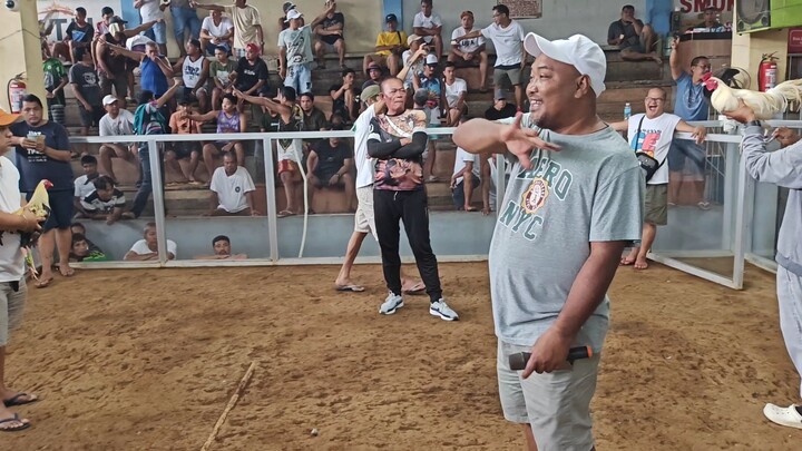 2cock Ulutan Malilipot 1st Fight (Lose)