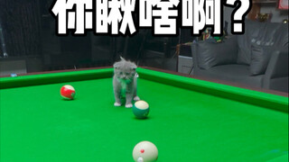 Đua vượt chướng ngại