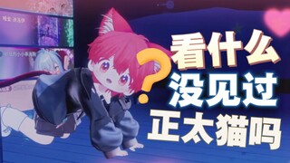 感性小正太，在线喵喵叫