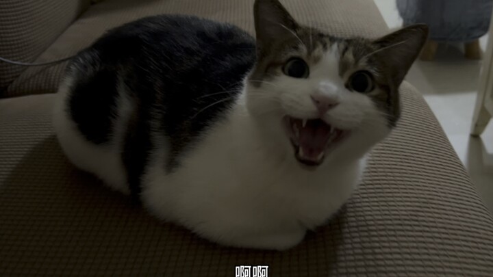 ลุง! ผมอยากกินอาหารกลางดึก!