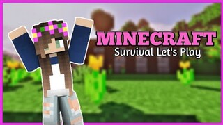 Minecraft Survival Let's Play Episode 18 | Villager Trading