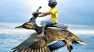 memes that idk what to say