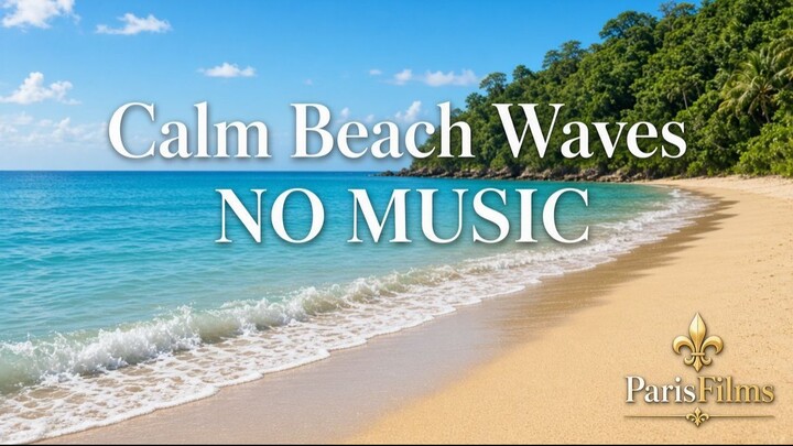 Calm beach waves 🌊