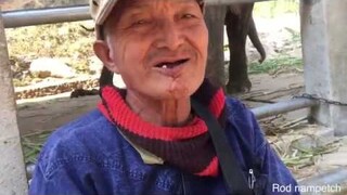 มาดูช้างที่อายุมากที่สุดในปางช้างแม่สา