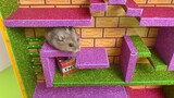 The Mega Tower Maze With Hamster. Hamster Trip