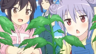 [Non Non Biyori Nonstop] วิถีชาวไร่