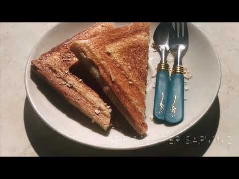 A journey of daily food