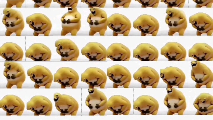 1,000 ตัวของเจ้ามายลิงหัวนมหัวเราะจนหยุดไม่ได้ มันฟินขนาดไหนนะ?