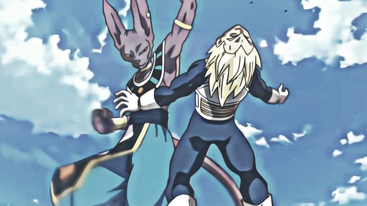 “A Cat Battles Six Opponents—Stats Available for Verification”