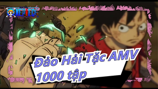 [Đảo Hải Tặc AMV] 1000 tập hoàn thành rồi!