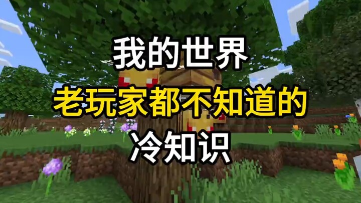 我的世界老玩家都不知道的冷知识