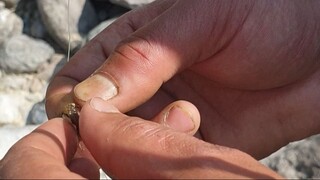 hook and rod | angling | anglers of nepal |