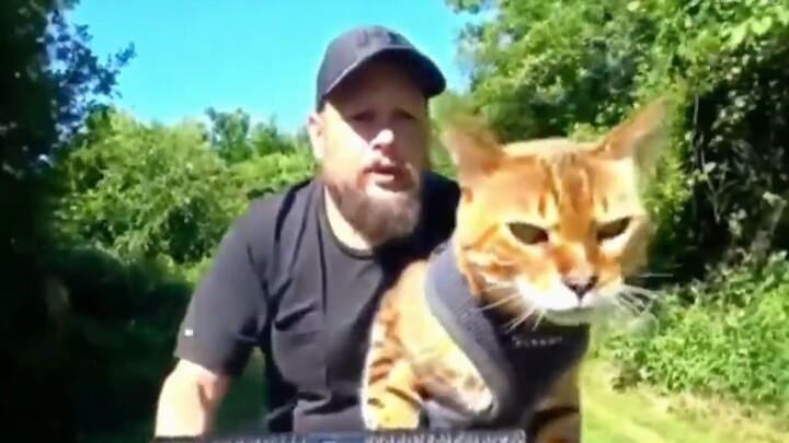 Pria yang pulang naik sepeda tiba-tiba bertemu kucing liar di tengah jalan, lalu kucing itu langsung