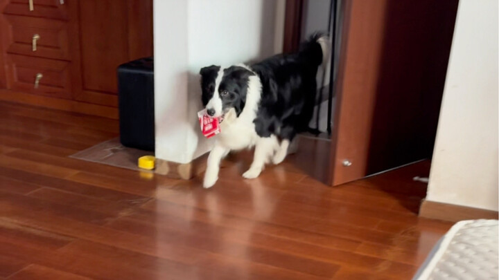 Giao tiếp không rào cản