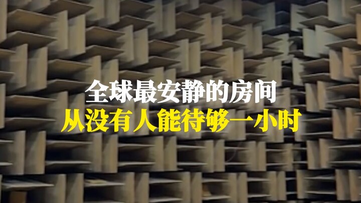 The world’s quietest room, yet no one can stay in it for even an hour.