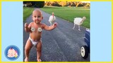Baby's First Step Moments Will Melt Your Heart || 5-Minute Fails
