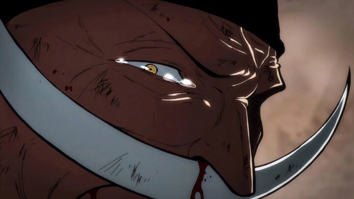 The End of Whitebeard I am a remnant of the old era, and the new era has no ship that can carry me