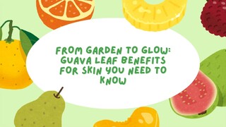 From Garden to Glow: Guava Leaf Benefits for Skin You Need to Know
