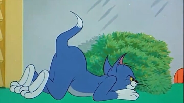 【Legend of Mao Zha】