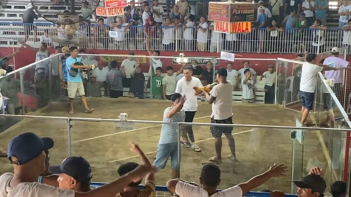 MT Magada Gameyard Dome