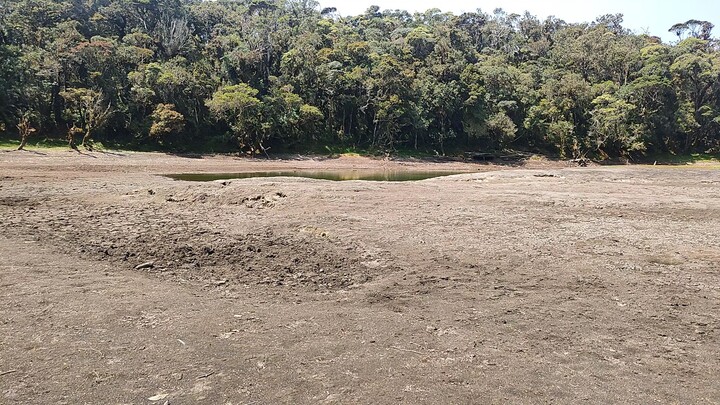 the lake