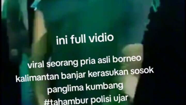 kerasukan panglima kumbang jer🤣🤣