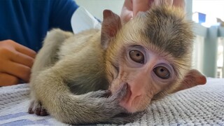 So Refreshing & Joyful!! Little adorable Toto is so comfortable when Mom gently massage for her