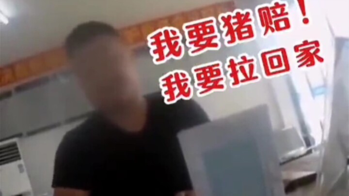 I hit a wild boar with my car—what should I do?