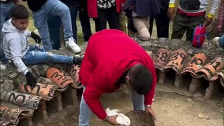 The simple and interesting "Rabbit Game" is also very exciting after one round.