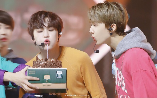 【Starry SungChen】The love between a star and a kitten in the corner