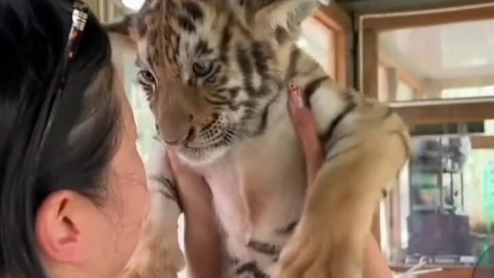 พี่ไป๋ตอนเด็กน่ารักมากเลย