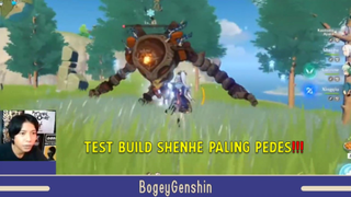 Build Yang Cocok Banget Untuk Shenhe (Part 1) - Genshin Impact Indonesi