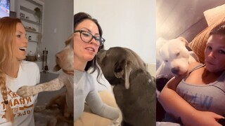 Bark At Your Dog Challenge | TikTok Compilation