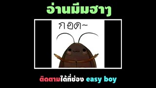 เเมลงสาบไม่ใช่สัตว์ที่น่ากลัว #short #easyboy