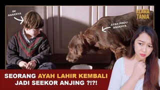 MANUSIA LAHIR KEMBALI JADI SEEKOR ANJING ?!?! | Alur Cerita Film oleh Klara Tania