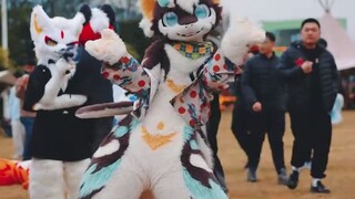 Today is the day to release energy in the fur group!!