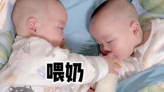 18年后看到这个视频，圆子会不会以为自己是团子带大的？