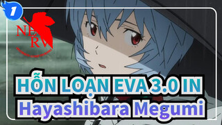 [HỖN LOẠN EVA 3.0] IN Hayashibara Megumi -VOYAGER～ Ngôi mộ không ngày tháng_1