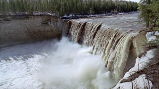 [Tập 2 - Thuyết Minh] Hành tinh băng giá 1 - Frozen Planet (2011) E02