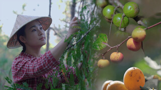 Yunnan Wild Fruits: Lilac Fruits, Sour Plums and Olives