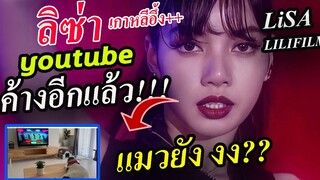 ลิซ่า !!เธอทำ youtube ค้างอีกแล้ว  ขนาดแมวยังดู😭😭 lilifilm5