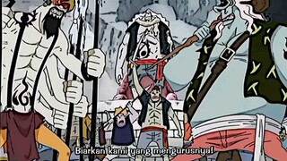 Hewan Pun Tunduk sama luffy