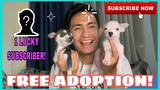 FREE ADOPTION is ON! | SUPER MARCOS VLOGS