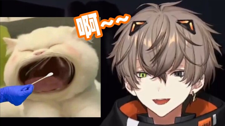 【No need to bake】Ah——【Alban Knox】